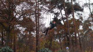 verwijderen en slopen van bomen uit de achtertuin